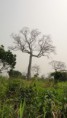 /album/mes-imageset-mes-activitees-/dsc00584-jpg/