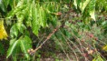 /album/galerie-de-photos-site-en-construction-veuillez-men-excuser/dsc00576-jpg/