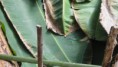 /album/galerie-de-photos-site-en-construction-veuillez-men-excuser/dsc00696-jpg/